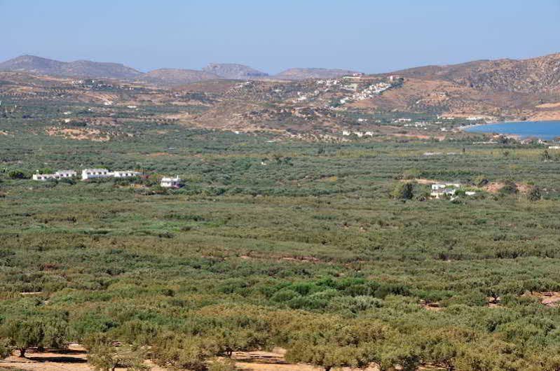 Hotel Marina Village Sitia  Exteriér fotografie